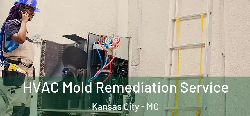 HVAC Mold Remediation Service Kansas City - MO