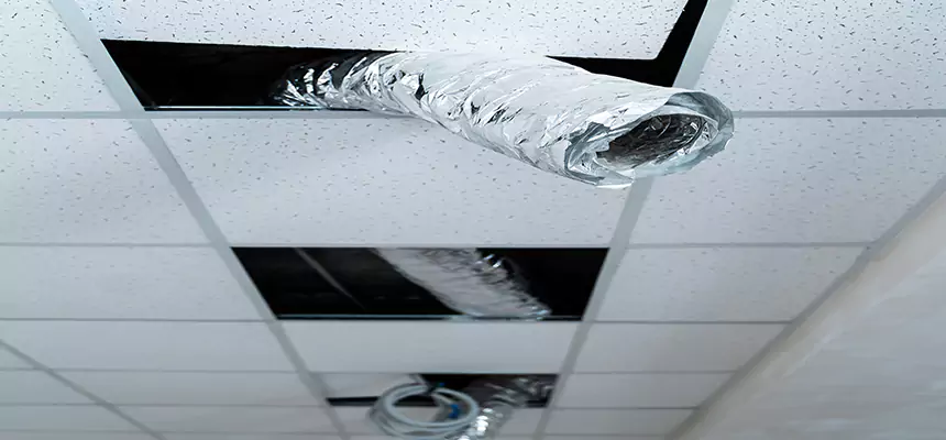 Our Air Duct Pet Hair Removal Services in Kansas City, MO