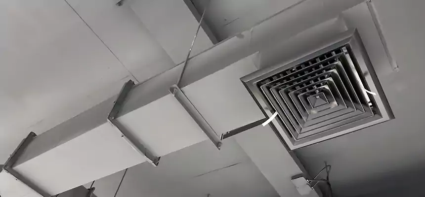 Our Rodent Droppings In Vents Services in Kansas City, MO