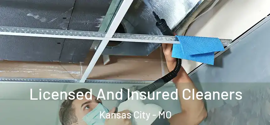 Licensed And Insured Cleaners Kansas City - MO