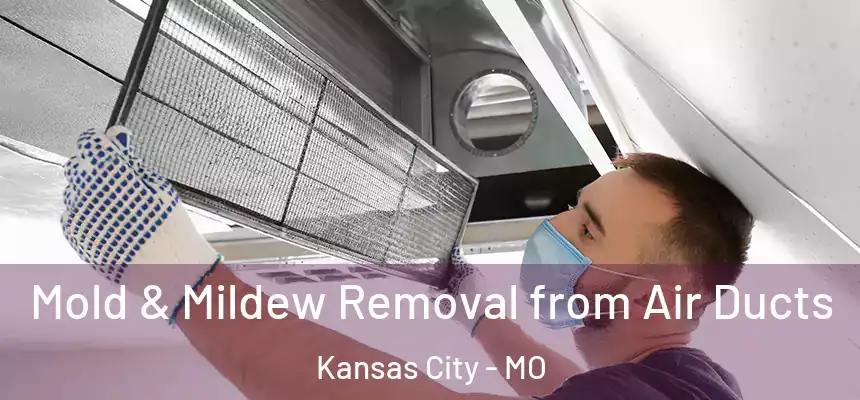 Mold & Mildew Removal from Air Ducts Kansas City - MO
