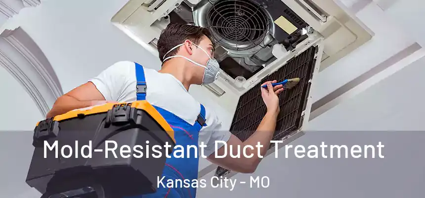 Mold-Resistant Duct Treatment Kansas City - MO