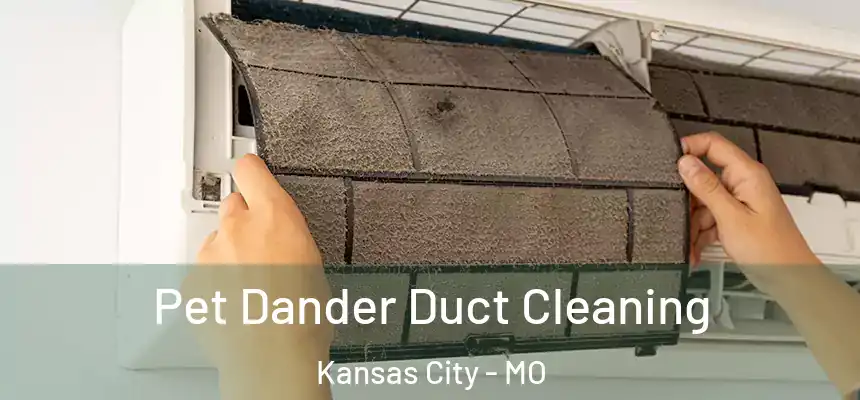 Pet Dander Duct Cleaning Kansas City - MO