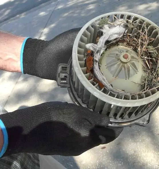 About Air Duct Rat Removal in Kansas City, MO