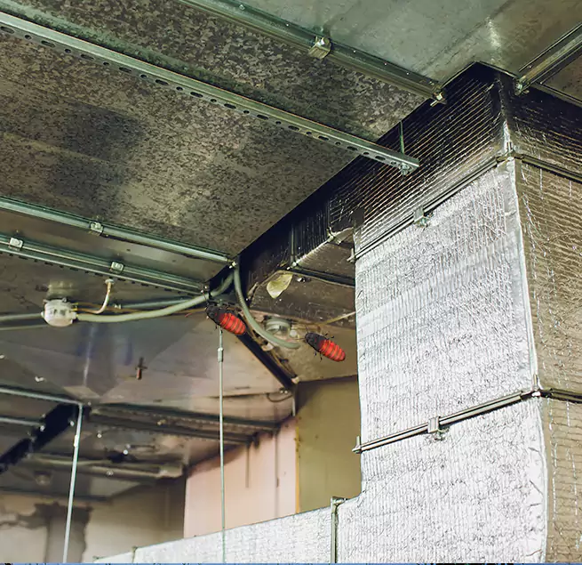 Why Homeowners & Businesses Trust Us in Kansas City, MO?