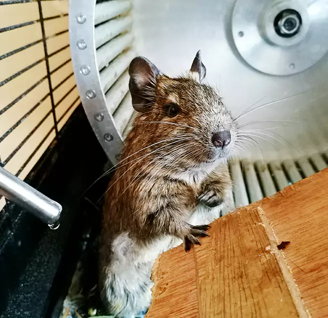 Why Homeowners & Businesses Trust Us Kansas City, MO