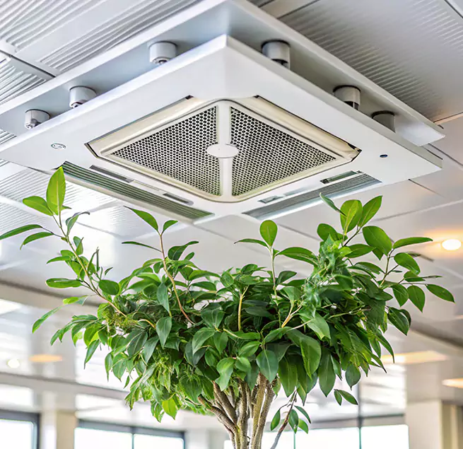 Why Homeowners & Businesses Trust Us in Kansas City, MO