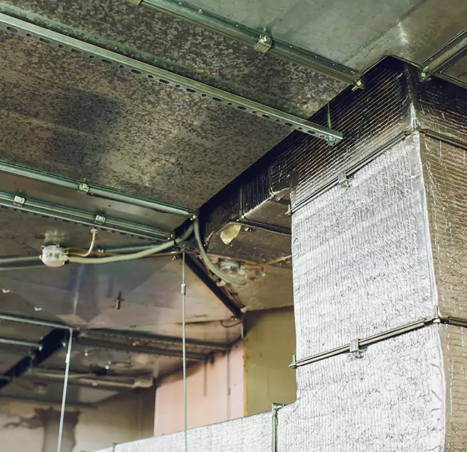 Why Homeowners & Businesses Trust Us in Kansas City, MO?